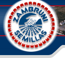 Zambruni Semillas